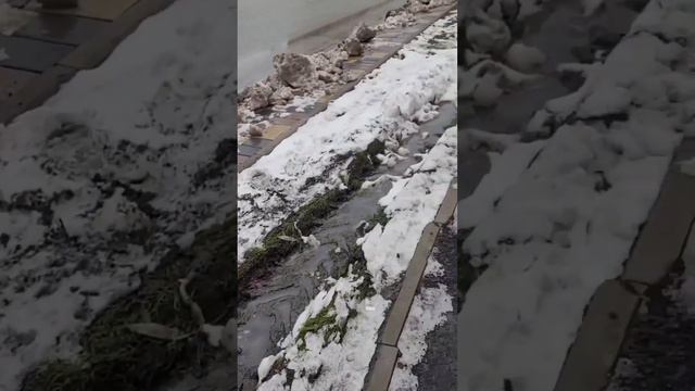 От смены акимов в Петропавловске улицы чище не становятся, а бюджетные деньги давят трактором смотреть онлайн