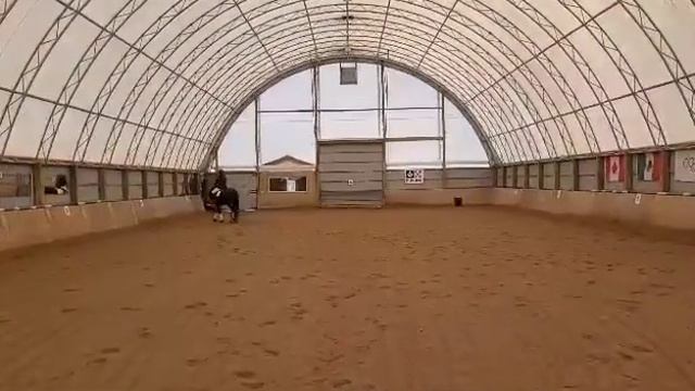 Lisa Middlebrook riding Theo, Elementary Test 42, March 4th, 2024 смотреть онлайн