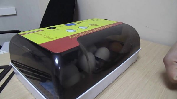 Инкубатор автоматический "SITITEK 12"