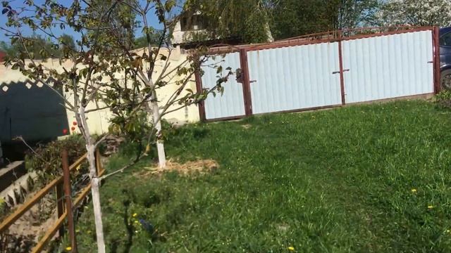 #дача#Начало дачного сезона смотреть онлайн