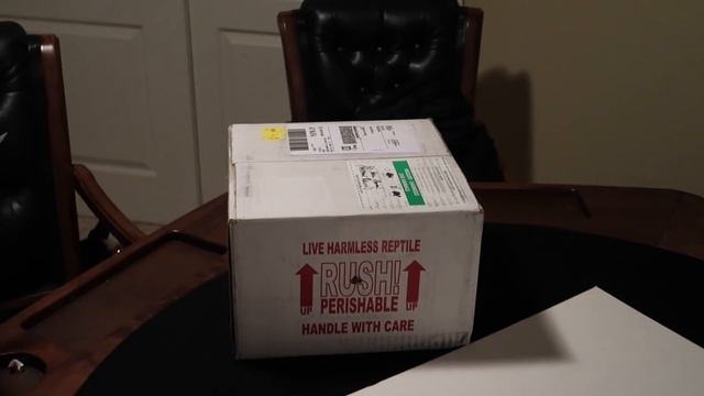 Ball python unboxing from Justin Kobylka reptiles project #3 смотреть онлайн