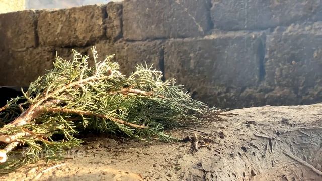 750 Kg Tandoori Meat | Giant Tandoor | The Most Delicious Meat | Uzbekistan