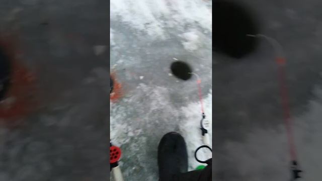 Супер клёв! Рыбалка на карася в ночь! смотреть онлайн