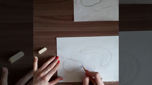 Рисунок. Фрукты. 1 этап смотреть онлайн