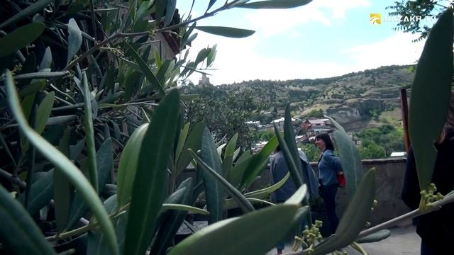 Reflections on history №10. Шота Руставели жана козголоңчу кыпчак смотреть онлайн