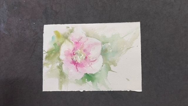 Hellebore, Watercolor Demonstration. смотреть онлайн