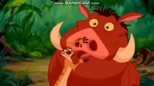 песня Тимона и Пумбы