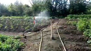 Импульсный распылитель