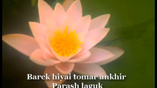 Учим песни Шри Чинмоя - Mangal Hok (music by Sri Chinmoy) смотреть онлайн