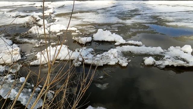 Последние часы в ледовом плену. смотреть онлайн