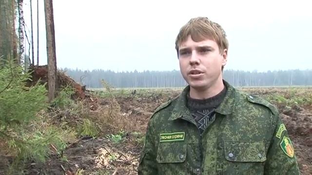 Подготовка к Посадке леса смотреть онлайн