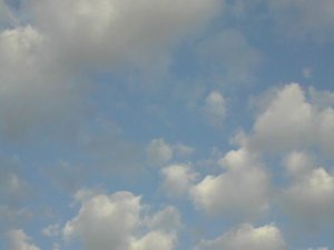 Иеромонах Роман. «Бом, бом, бом – утро растревожено…»