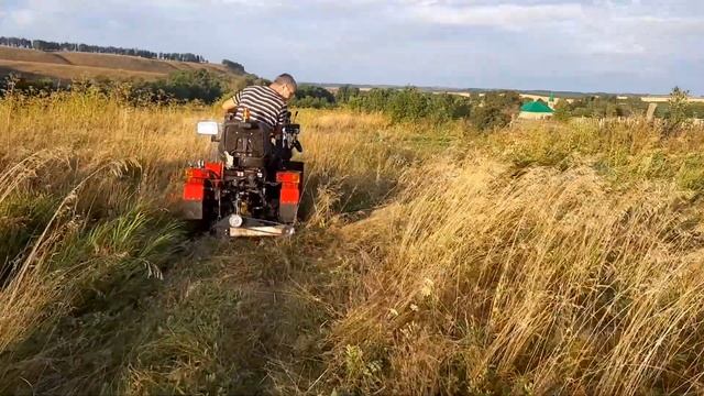 Роторная косилка на МТЗ 132Н смотреть онлайн
