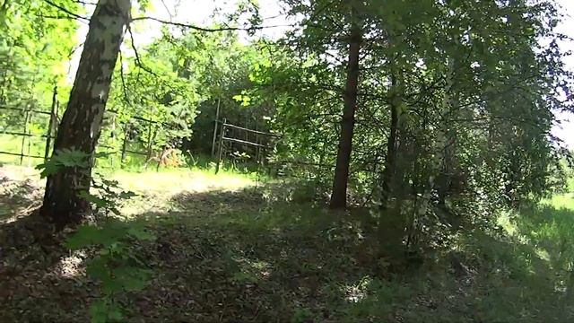 СКК Вместе 23062020гДендроСад имВГДубова НЕ Загрязняйте ПриРоДу смотреть онлайн