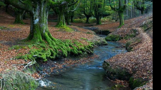 Фото-Сергей Макаров-Rippling Backyard Stream (part 4) Savvas Sa.... смотреть онлайн