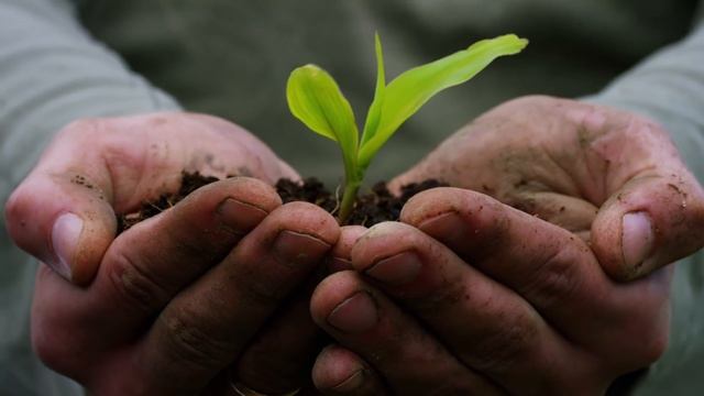 Reiki Music, No Loops, Energy Healing, Positive Vibes, Healing Meditation смотреть онлайн