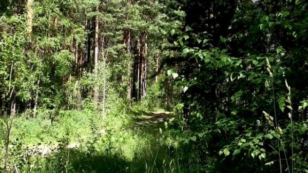 Исцеляющие мысли от всех болезней  Для женщин Настрои академика Сытина Г.Н.