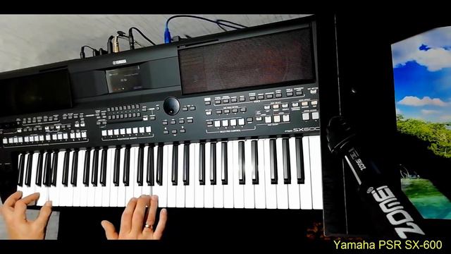 I Like Chopin cover на Yamaha PSR SX-600. I Like Chopin cover on Yamaha PSR SX-600. смотреть онлайн