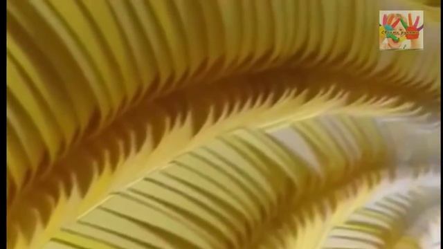 Бумагопластика. Вырезание из бумаги. Шедевры ! смотреть онлайн