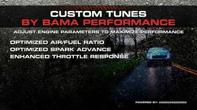 2005-2010 Mustang GT 4.6 V8 Bama Performance Tuned смотреть онлайн