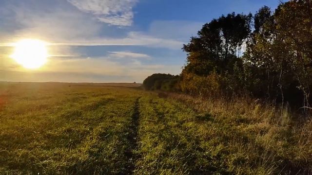 Живая фитнес-лекция "Движение. Начало" 40+ смотреть онлайн