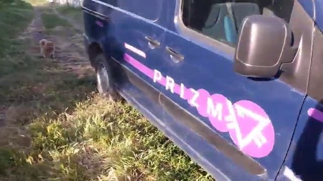 45-ый автомобиль криптовалюты PRIZMв Краснодаре! Фиат синий а 661 рв 123 смотреть онлайн