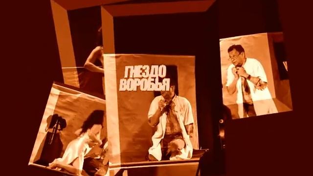 "Гнездо воробья" в Тель-Авиве смотреть онлайн