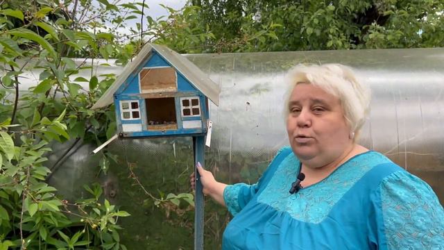 Экскурсия по дачному участку смотреть онлайн