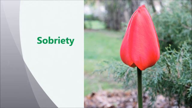 Great Gift of Love смотреть онлайн