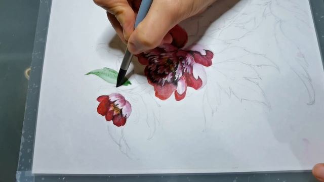Watercolor peony. Акварель. Рисуем пион. смотреть онлайн