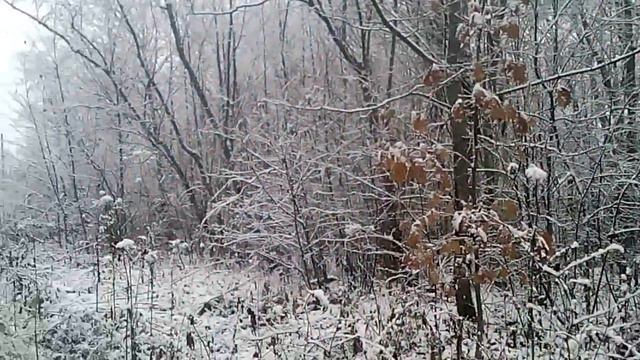 Зима идёт.!!! смотреть онлайн