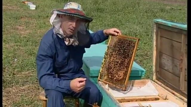 Пасека глиняный горшок смотреть онлайн