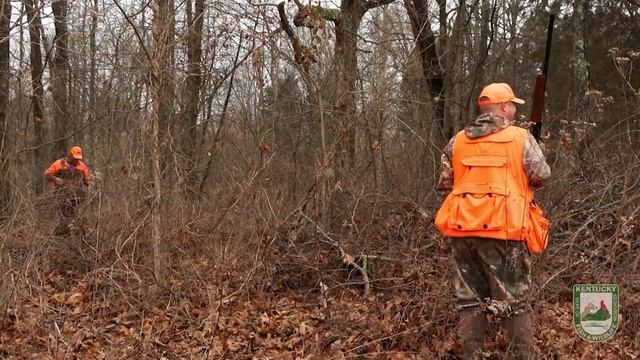Kentucky Rabbit Hunt with Friends смотреть онлайн