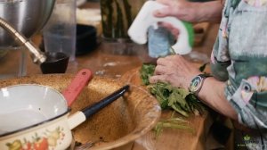 5 Лучших блюд из дикоросов! Наталья Замятина. Кухня Робинзона