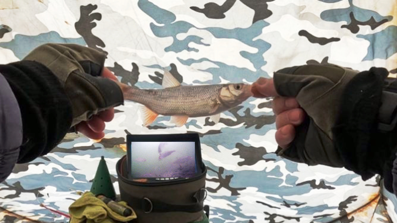 ГЛУХОЗИМЬЕ , ОБЬ , ПРОТОКА !!! 25 февраля 2024г. смотреть онлайн