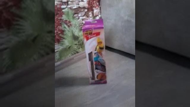 Уход за Волнистыми попугаями (ПИТАНИЕ ) смотреть онлайн
