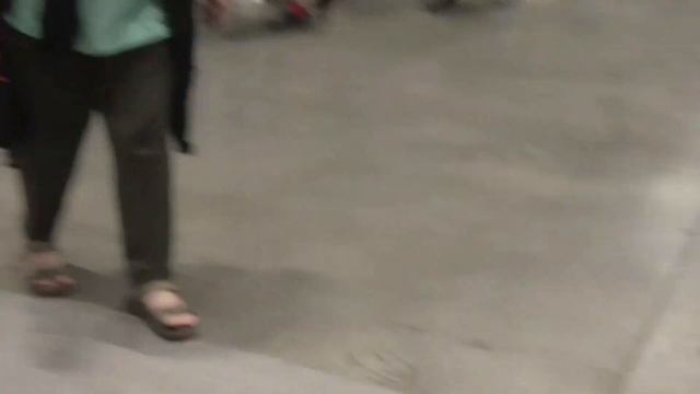 Reptilium Moscow 2022 смотреть онлайн