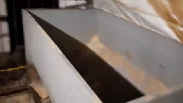 Покупка поросят. Свиньи на откорме горохом. Свиноводство. смотреть онлайн