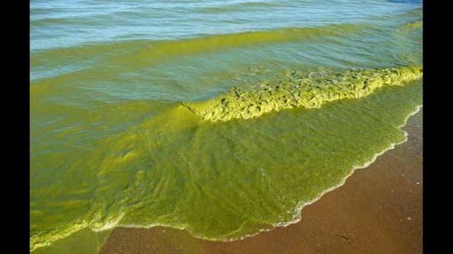 Откуда Я ? Рождение Земли Первая Живая Молекула РНК Происхождение Человека смотреть онлайн