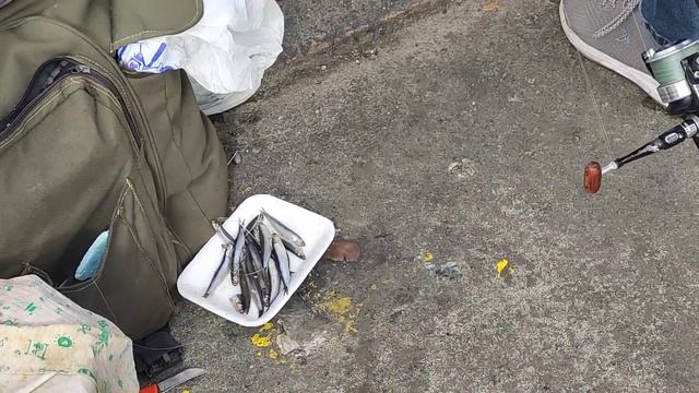 Стамбул Городская рыбалка с моста Ататюрка в заливе Золотой Рог смотреть онлайн