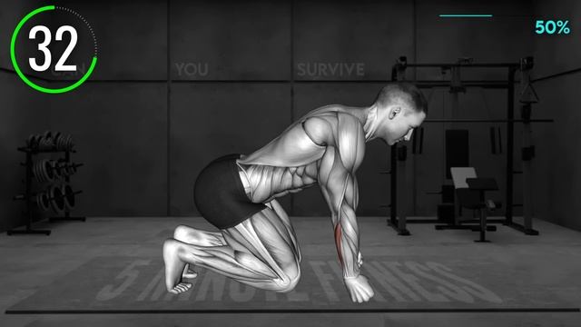 Hate Your Twig Forearms? DO THIS! смотреть онлайн