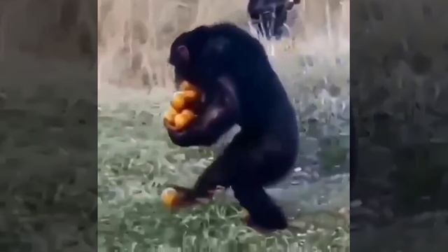 Это я ночью на кухне смотреть онлайн