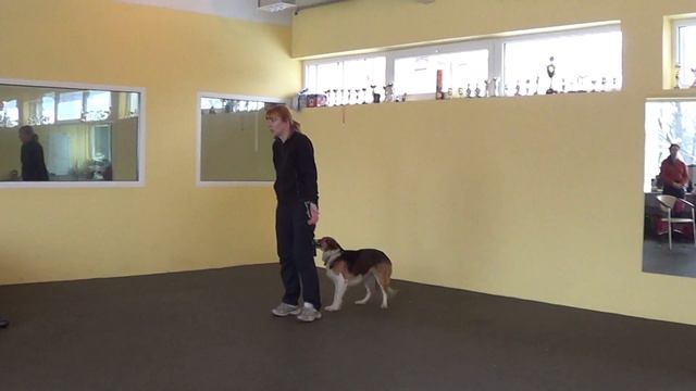 Кайса - стоп на подзыве через движение назад смотреть онлайн