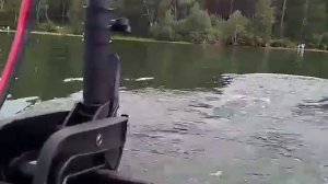 Haswing protruar 1HP старт