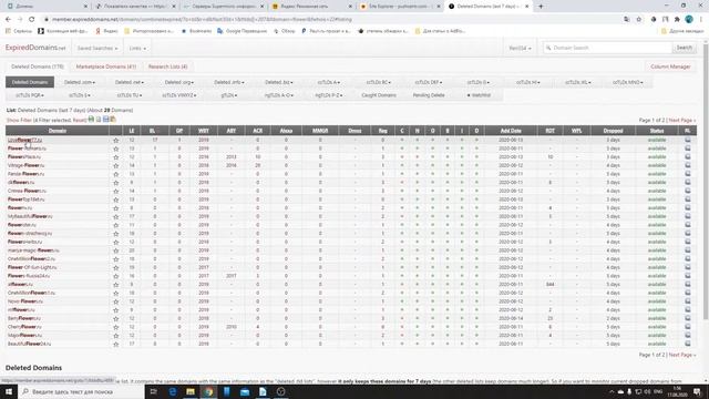Дроп-домен: что это и как проверить перед покупкой смотреть онлайн