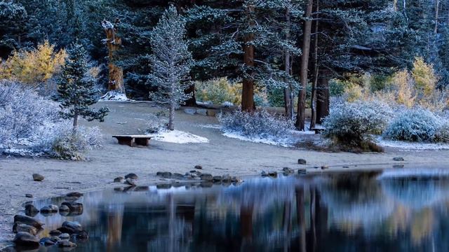 Падал снег! Чарующая , искрящаяся музыка, как белый снег! Сергей Грищук смотреть онлайн