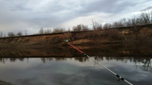 Весенний налим. Ловля налима весной на закидушки. Рыбалка на реке Ишим.