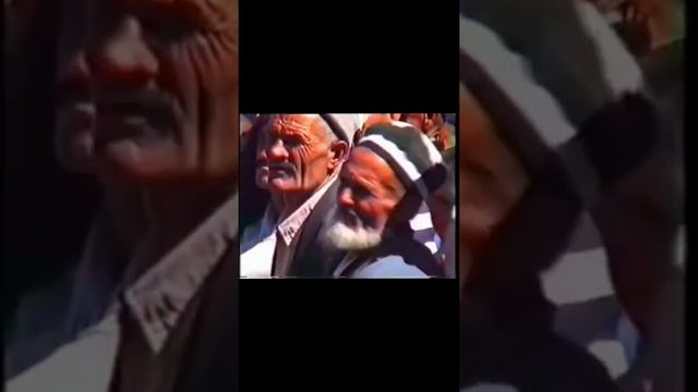 КИРГИЗ АФГАН смотреть онлайн