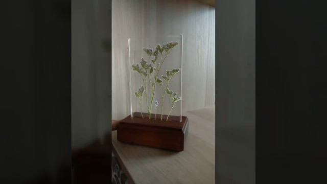 Ночник из дерева с настоящими растениями лимониумом. DIY wood lamp with epoxy смотреть онлайн
