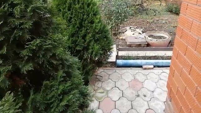 Сад в ноябре. Садовые работы в ноябре 2020. смотреть онлайн